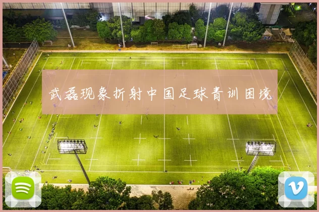武磊现象折射中国足球青训困境