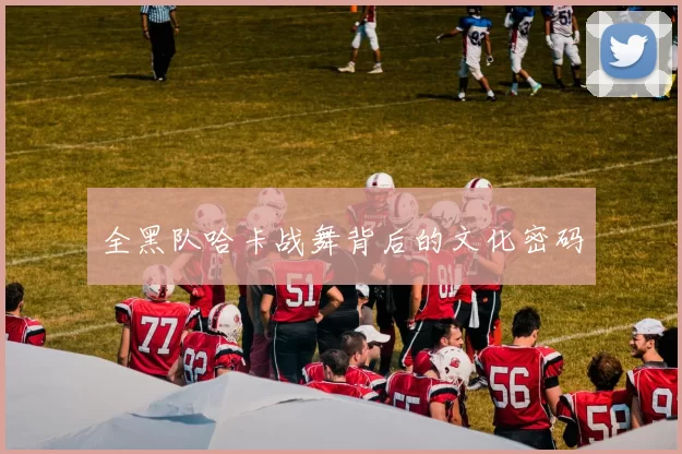 全黑队哈卡战舞背后的文化密码