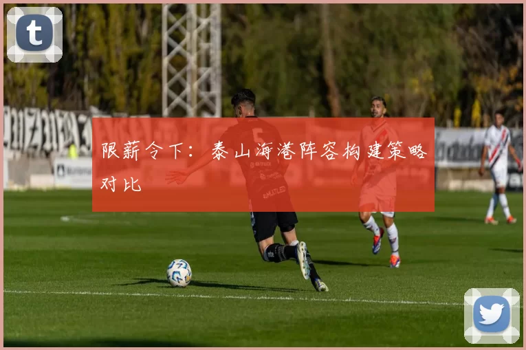 限薪令下：泰山海港阵容构建策略对比