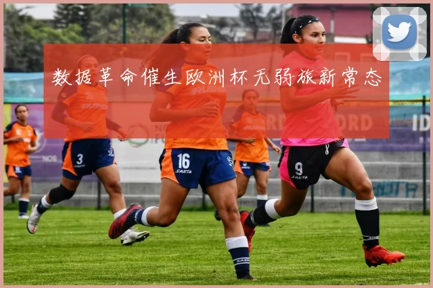 数据革命催生欧洲杯无弱旅新常态
