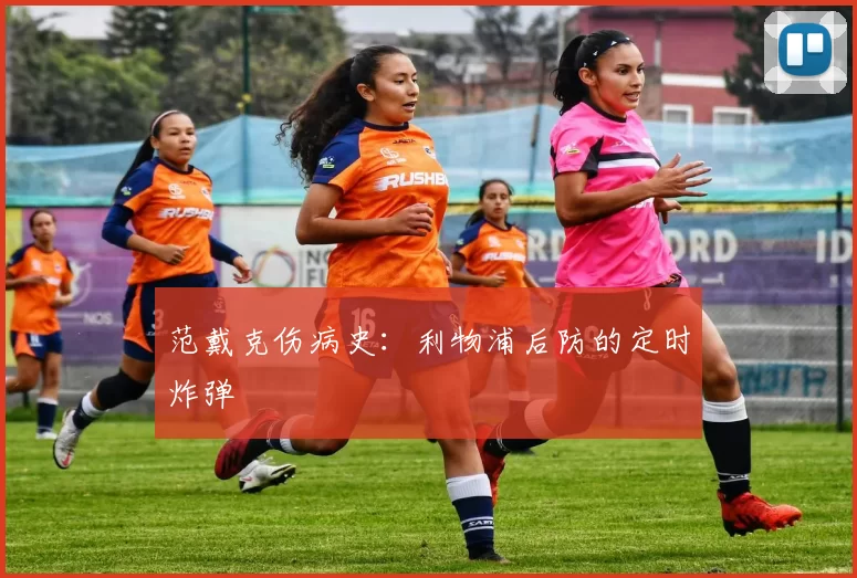 范戴克伤病史：利物浦后防的定时炸弹