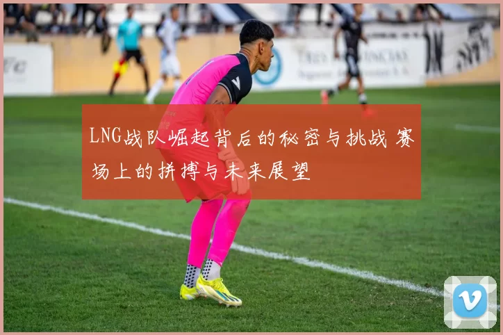 LNG战队崛起背后的秘密与挑战 赛场上的拼搏与未来展望